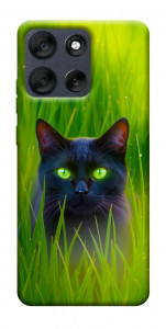 Чехол Cat in the grass для Motorola Moto G56 5G