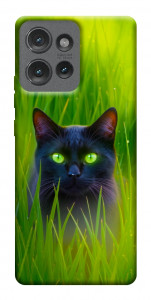 Чохол Cat in the grass для Motorola Edge 50