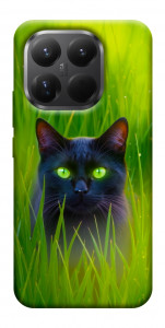 Чохол Cat in the grass для Xiaomi 15T Pro