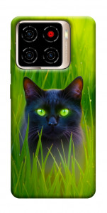 Чохол Cat in the grass для ZTE Blade A56