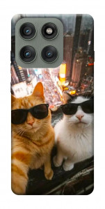 Чохол Cool cats city для Motorola Edge 60 Pro