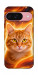 Чохол Fire cat для Google Pixel 9