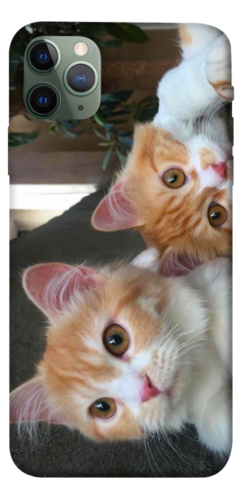 Чохол Fluffy Duo для iPhone 11 Pro Max
