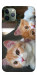 Чохол Fluffy Duo для iPhone 11 Pro