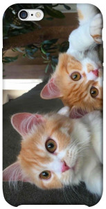 Чохол Fluffy Duo для iPhone 6 (4.7'')