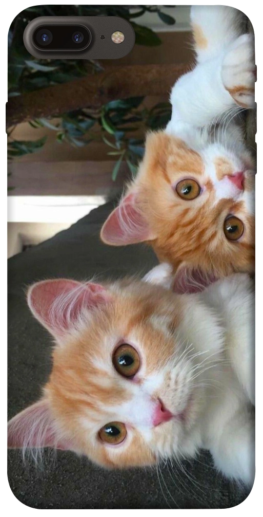 Чехол Fluffy Duo для iPhone 7 Plus