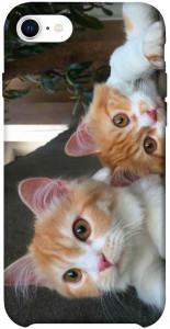 Чехол Fluffy Duo для iPhone SE (2020)