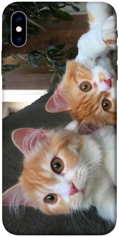Чохол Fluffy Duo для iPhone X