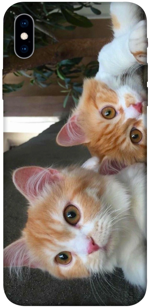 Чохол Fluffy Duo для iPhone XS Max