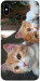 Чохол Fluffy Duo для iPhone XS Max