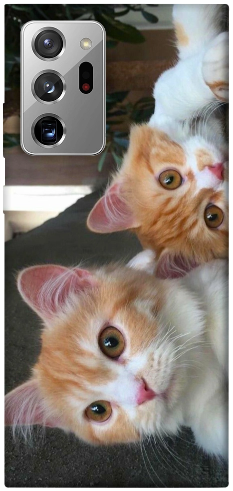 Чехол Fluffy Duo для Galaxy Note 20 Ultra
