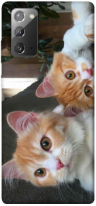 Чохол Fluffy Duo для Galaxy Note 20