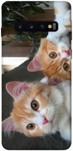 Чохол Fluffy Duo для Galaxy S10 (2019)