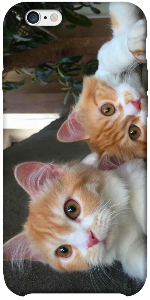 Чехол Fluffy Duo для iPhone 6S Plus
