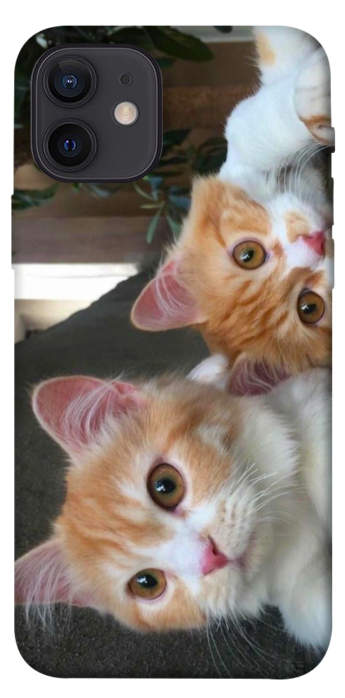 Чехол Fluffy Duo для iPhone 12