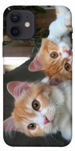 Чехол Fluffy Duo для iPhone 12