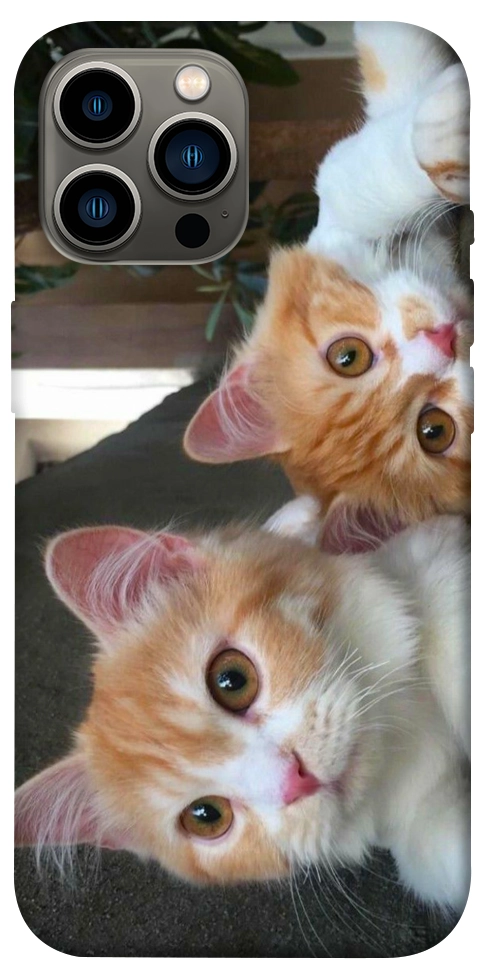 Чохол Fluffy Duo для iPhone 12 Pro Max