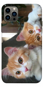 Чехол Fluffy Duo для iPhone 12 Pro