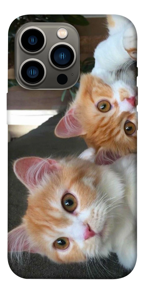 Чохол Fluffy Duo для iPhone 13 Pro