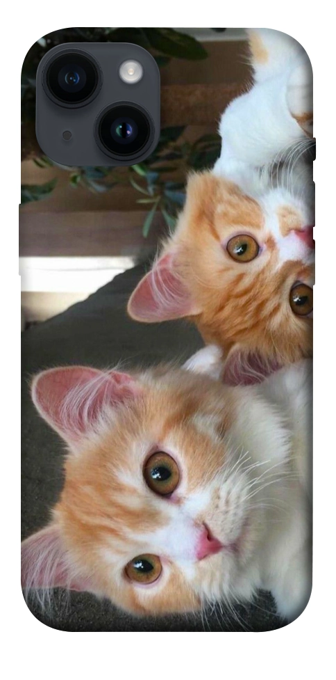 Чохол Fluffy Duo для iPhone 14