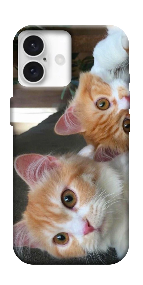 Чехол Fluffy Duo для iPhone 16 Plus