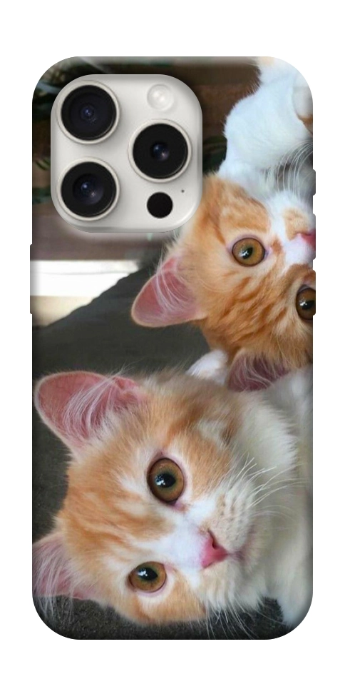 Чехол Fluffy Duo для iPhone 16 Pro