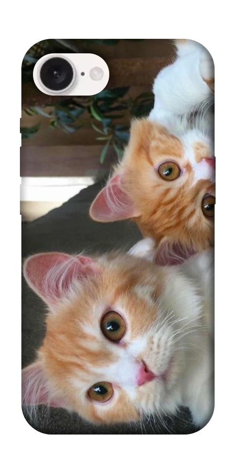 Чехол Fluffy Duo для iPhone 16e