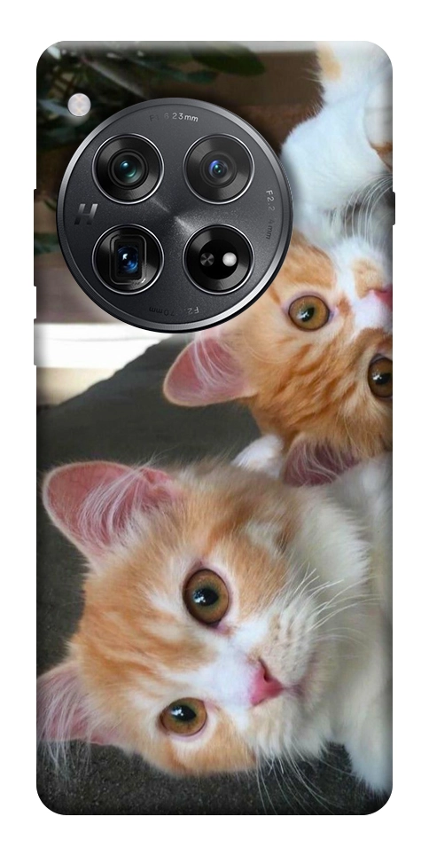 Чехол Fluffy Duo для OnePlus 12