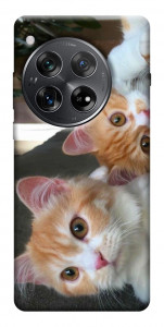 Чехол Fluffy Duo для OnePlus 12