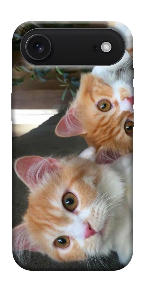 Чехол Fluffy Duo для iPhone 17 Air
