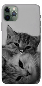 Чохол Grey cats для iPhone 11 Pro Max