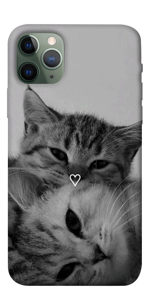 Чохол Grey cats для iPhone 11 Pro