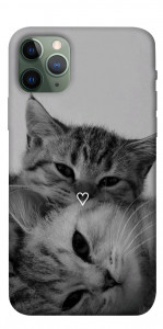 Чохол Grey cats для iPhone 11 Pro