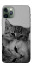 Чохол Grey cats для iPhone 11 Pro