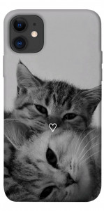 Чохол Grey cats для iPhone 11