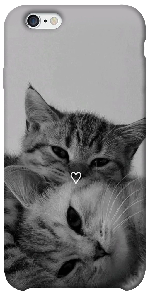 Чохол Grey cats для iPhone 6