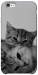 Чохол Grey cats для iPhone 6