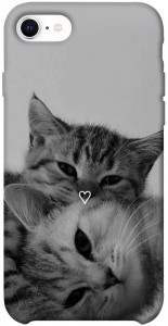 Чехол Grey cats для iPhone SE (2020)