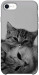 Чехол Grey cats для iPhone SE (2020)