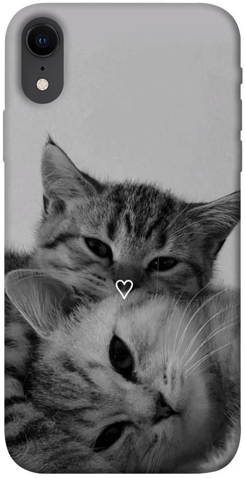 Чохол Grey cats для iPhone XR