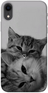Чохол Grey cats для iPhone XR
