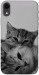Чохол Grey cats для iPhone XR