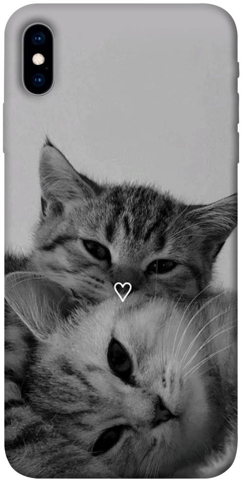 Чохол Grey cats для iPhone X