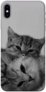 Чохол Grey cats для iPhone X
