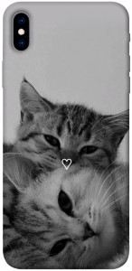 Чехол Grey cats для iPhone XS Max
