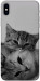 Чохол Grey cats для iPhone XS Max