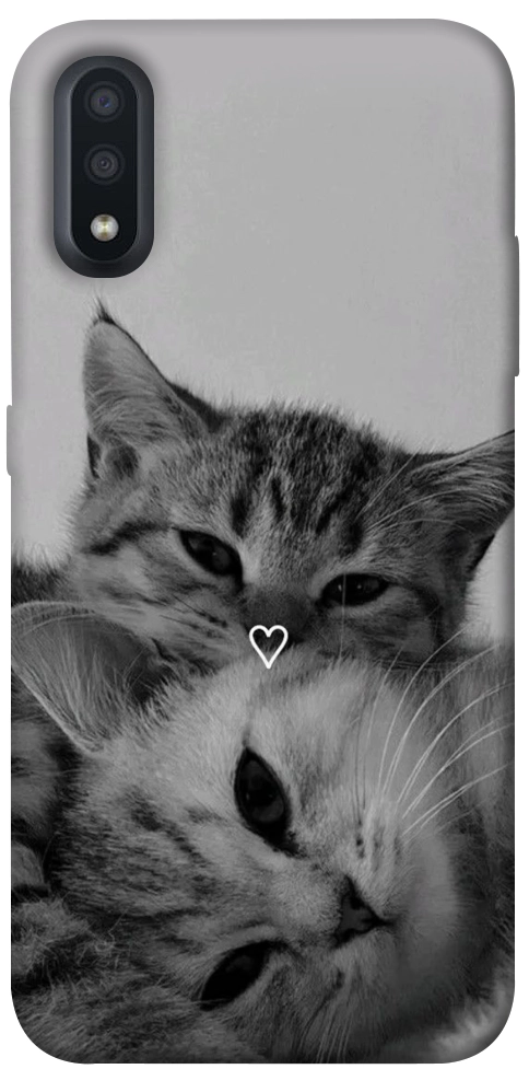 Чохол Grey cats для Galaxy A01