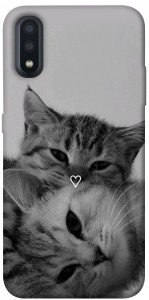 Чохол Grey cats для Galaxy A01