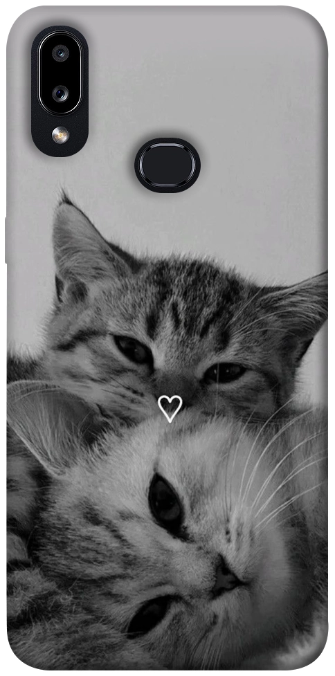 Чохол Grey cats для Galaxy A10s (2019)