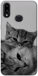 Чохол Grey cats для Galaxy A10s (2019)